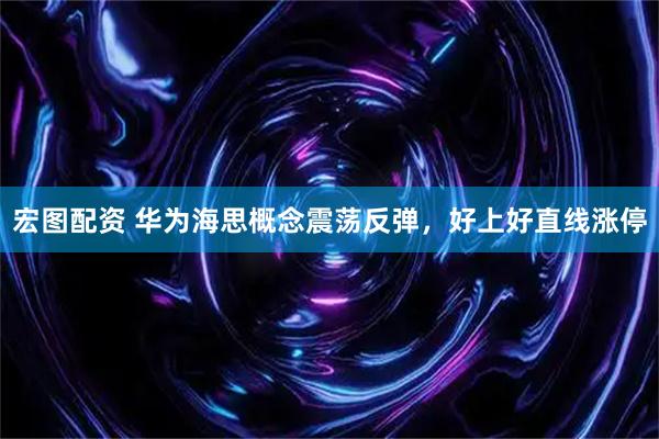 宏图配资 华为海思概念震荡反弹，好上好直线涨停