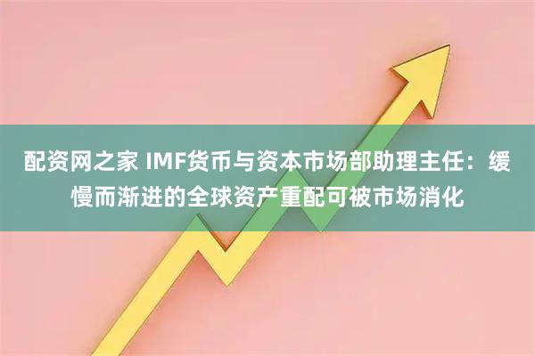 配资网之家 IMF货币与资本市场部助理主任：缓慢而渐进的全球资产重配可被市场消化