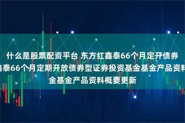 什么是股票配资平台 东方红鑫泰66个月定开债券: 东方红鑫泰66个月定期开放债券型证券投资基金基金产品资料概要更新