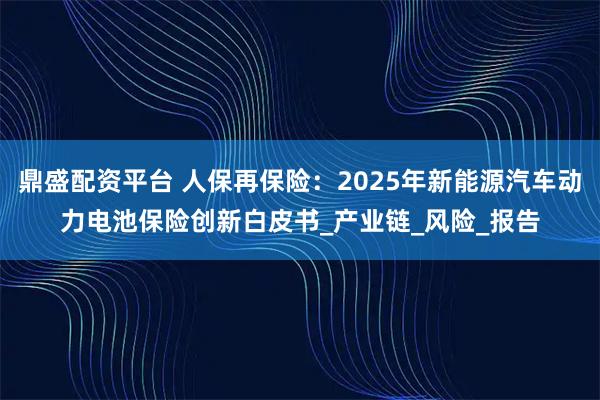 鼎盛配资平台 人保再保险：2025年新能源汽车动力电池保险创新白皮书_产业链_风险_报告