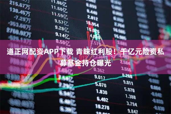 道正网配资APP下载 青睐红利股！千亿元险资私募基金持仓曝光