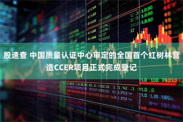 股速查 中国质量认证中心审定的全国首个红树林营造CCER项目正式完成登记